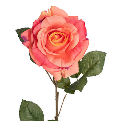 Alba Rose Long Stem Full Bloom Yellow Pink (15cmDx85cmH)