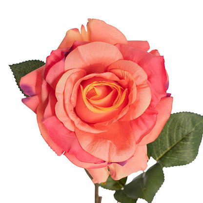 Alba Rose Long Stem Full Bloom Yellow Pink (15cmDx85cmH)