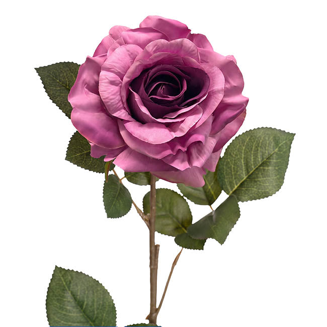 Alba Rose Long Stem Full Bloom Ombre Purple (15cmDx85cmH)