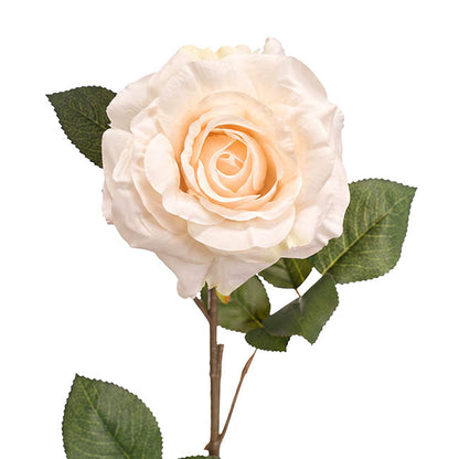 Alba Rose Long Stem Full Bloom White (15cmDx85cmH)
