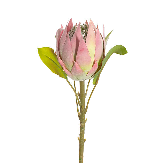 Faux King Protea Flower Pink (13cmDx68cmH)
