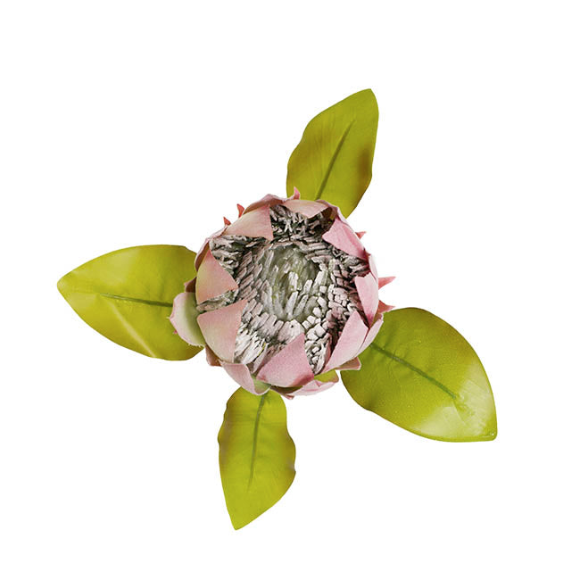 Faux King Protea Flower Pink (13cmDx68cmH)
