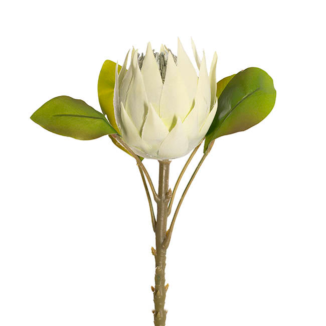 Faux King Protea Flower Soft Green (13cmDx68cmH)
