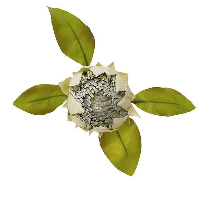Faux King Protea Flower Soft Green (13cmDx68cmH)
