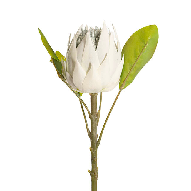 Faux King Protea Flower White (13cmDx68cmH)