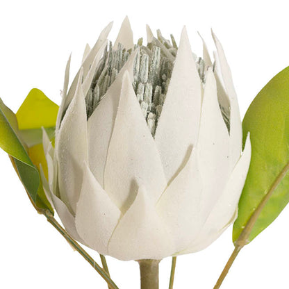 Faux King Protea Flower White (13cmDx68cmH)