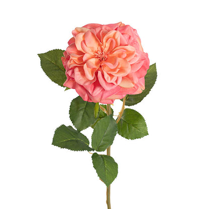 English Emily Rose Stem Real Touch Peach Pink (13cmDx72cmH)