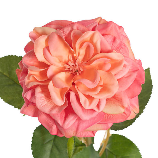 English Emily Rose Stem Real Touch Peach Pink (13cmDx72cmH)