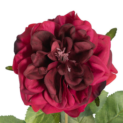 English Emily Rose Stem Real Touch Red (13cmDx72cmH)