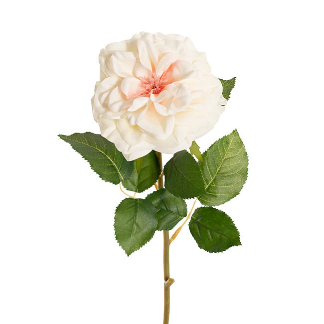 English Emily Rose Stem Real Touch White Pink (13cmDx72cmH)