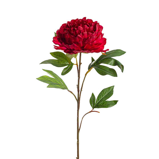 Princess Peony Red (16cmDx80cmH)