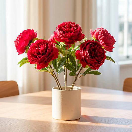 Princess Peony Red (16cmDx80cmH)