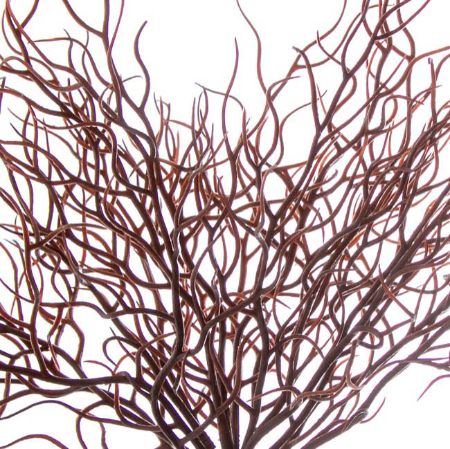 Deadwood Plant Bush Brown (32cmH)