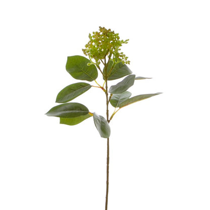 Viburnum Spray Green (32cmH)