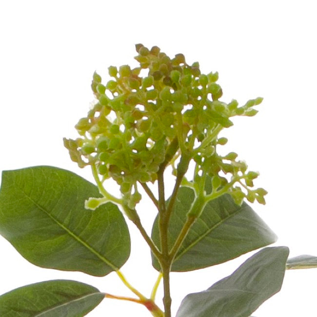 Viburnum Spray Green (32cmH)