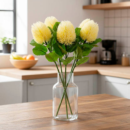 Baxteri Banksia Stem Cream (6cmDx59cmH)