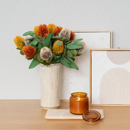 Baxteri Banksia Stem Golden Yellow (6cmDx59cmH)
