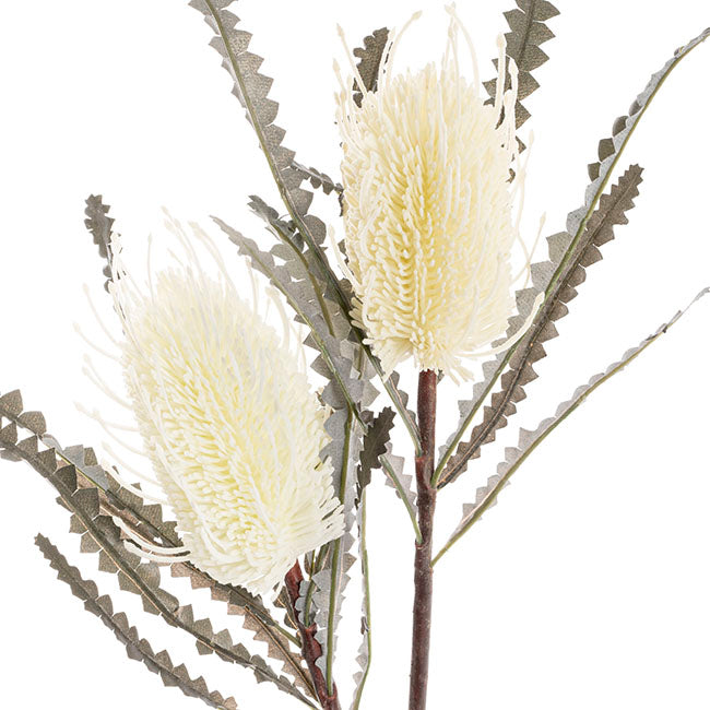 Real Touch Australian Banksia x 2 Head Spray Cream (80cmH)