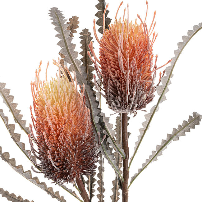 Real Touch Australian Banksia x 2 Head Spray Orange (80cmH)