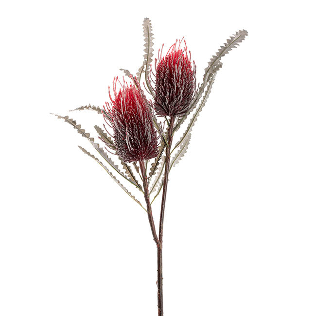 Real Touch Australian Banksia x 2 Head Spray Red (80cmH)
