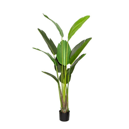 Artificial Bird Of Paradise Plant Potted Green (150cmH)