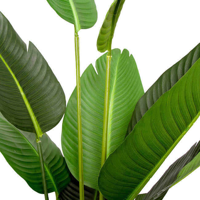 Artificial Bird Of Paradise Plant Potted Green (150cmH)