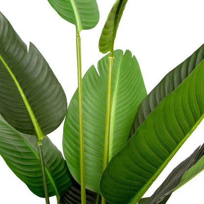 Artificial Bird Of Paradise Plant Potted Green (150cmH)