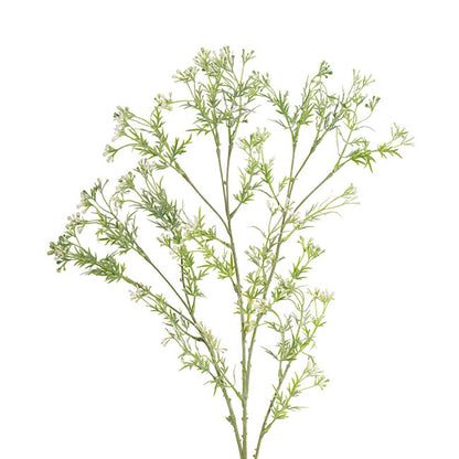 Baby's Breath Bud Spray White (75cmH)