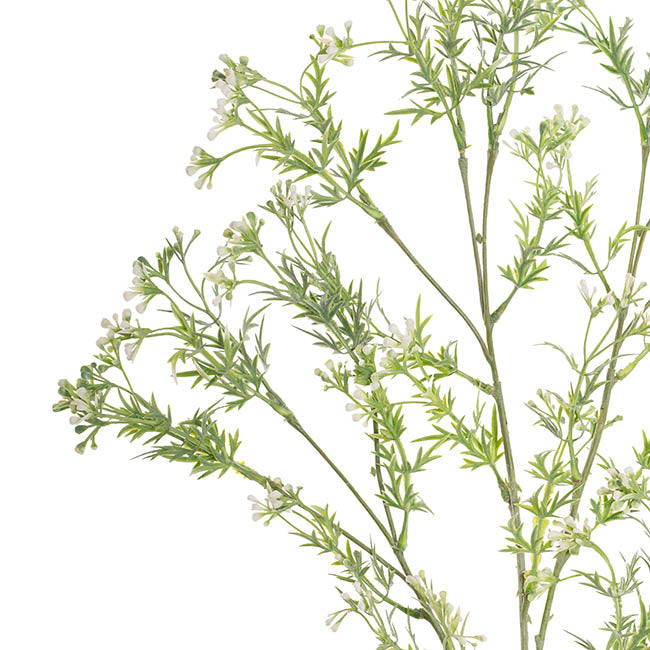 Baby's Breath Bud Spray White (75cmH)