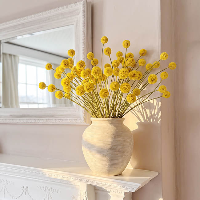 Billy Button Spray Yellow (3cmDx65cmH)