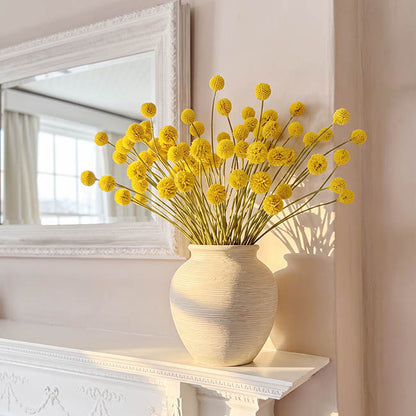 Billy Button Spray Yellow (3cmDx65cmH)