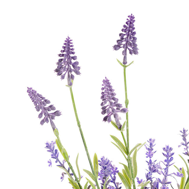 Lavender Spray 6 Stems Violet (39cmH)