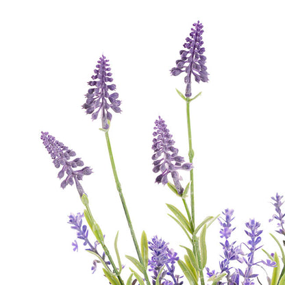 Lavender Spray 6 Stems Violet (39cmH)