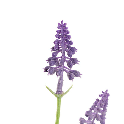Lavender Spray 6 Stems Violet (39cmH)