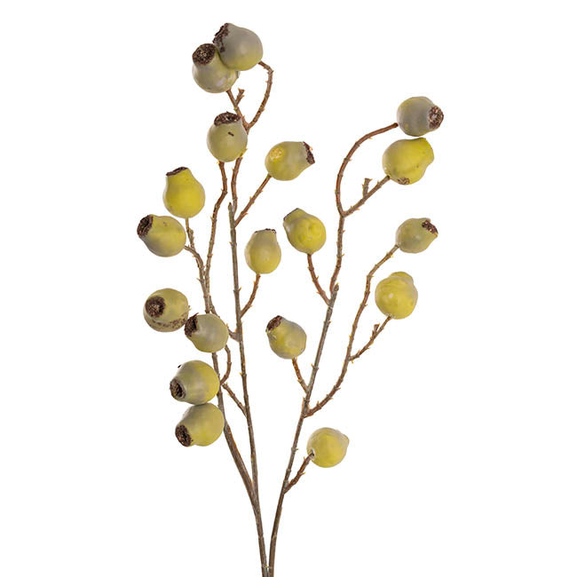 Gumnut Spray Green (70cmH)