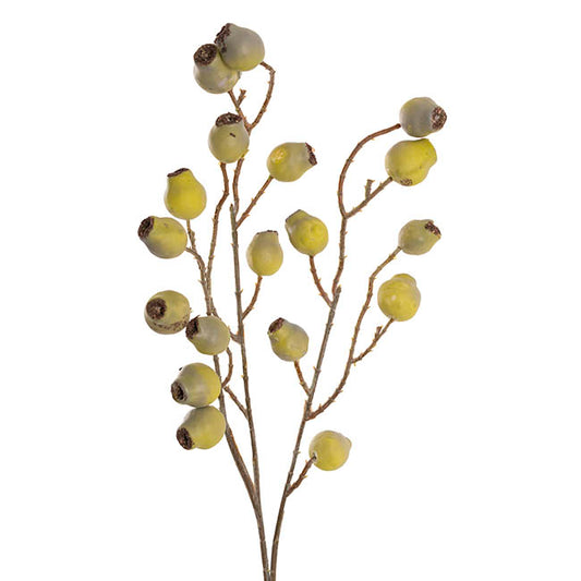Gumnut Spray Green (70cmH)