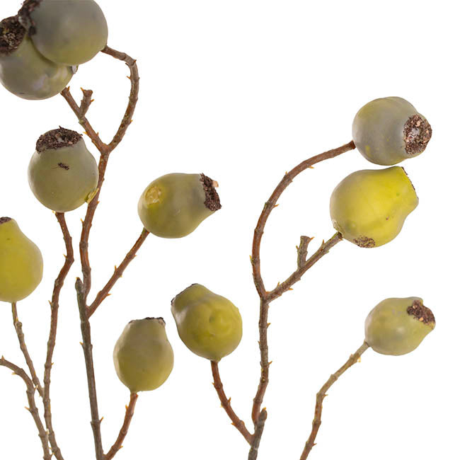 Gumnut Spray Green (70cmH)