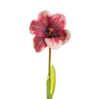 Tulip Stem Full Bloom Berry Red (11cmDx55cmH)