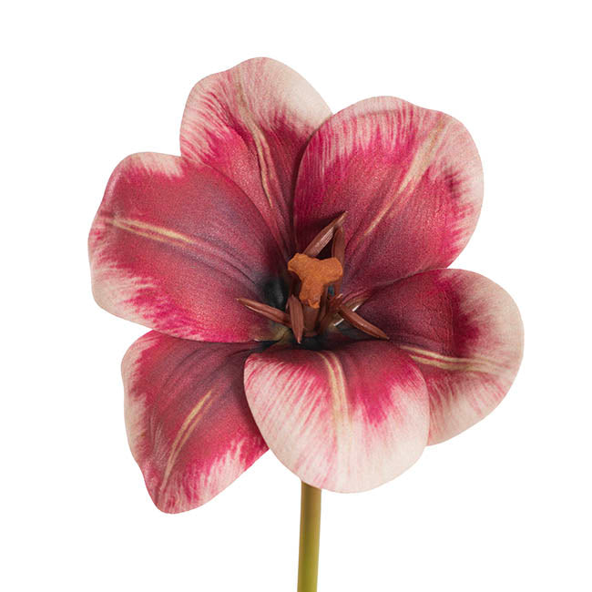 Tulip Stem Full Bloom Berry Red (11cmDx55cmH)