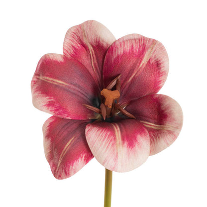 Tulip Stem Full Bloom Berry Red (11cmDx55cmH)