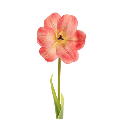 Tulip Stem Full Bloom Coral (11cmDx55cmH)