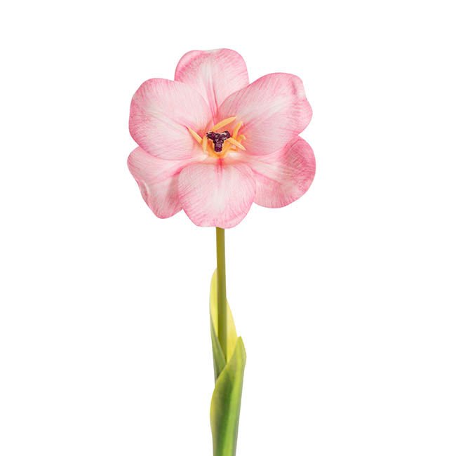 Tulip Stem Full Bloom Soft Pink (11cmDx55cmH)