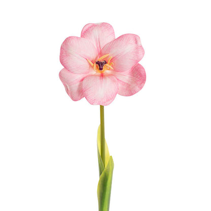 Tulip Stem Full Bloom Soft Pink (11cmDx55cmH)