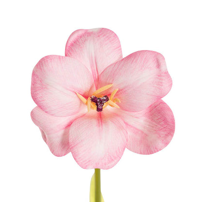 Tulip Stem Full Bloom Soft Pink (11cmDx55cmH)