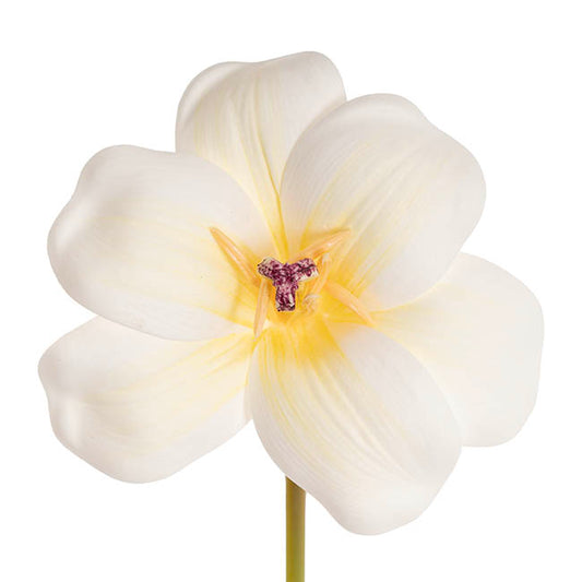 Tulip Stem Full Bloom White (11cmDx55cmH)