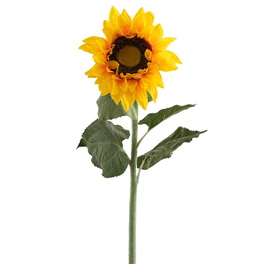 Giant Sunflower Faux Yellow (28cmDx143cmH)