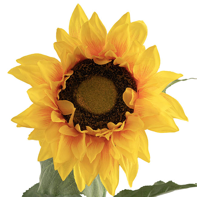 Giant Sunflower Faux Yellow (28cmDx143cmH)