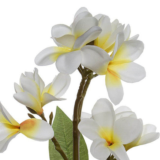 Frangipani Spray x4 Cream Yellow (68cmH)