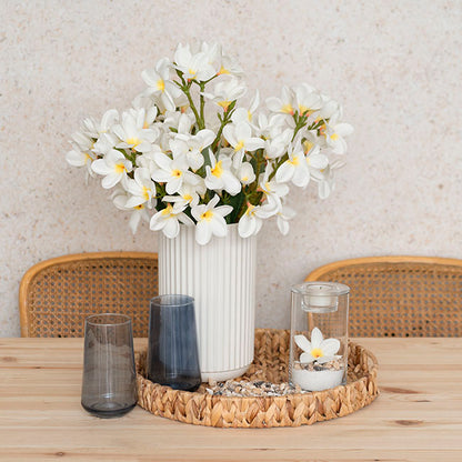Frangipani Spray x4 Cream Yellow (68cmH)