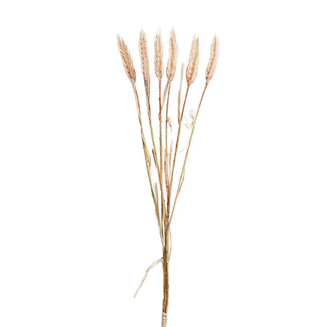 Wheat Spray Bunch 6 Head Beige (57cmH)